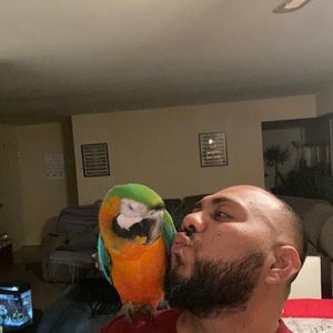 Meet your Posher, Roberto